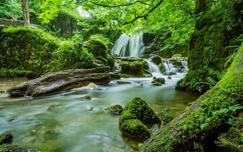 高效可靠性智能系统